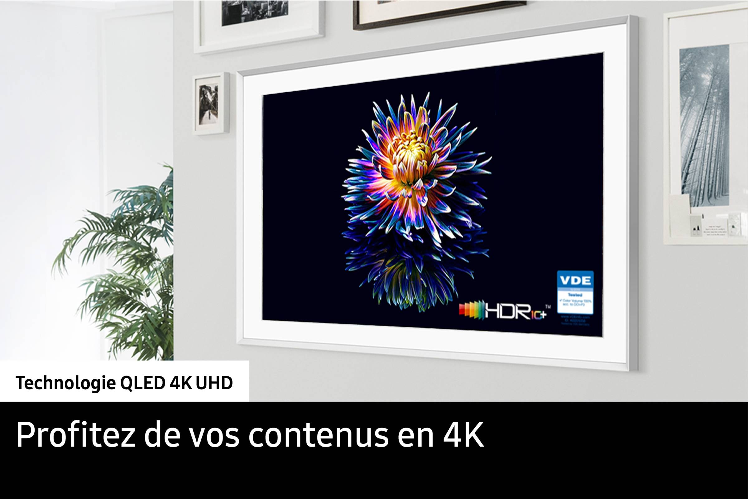 TV QLED 4K 138 cm SAMSUNG  - TQ55LS03D