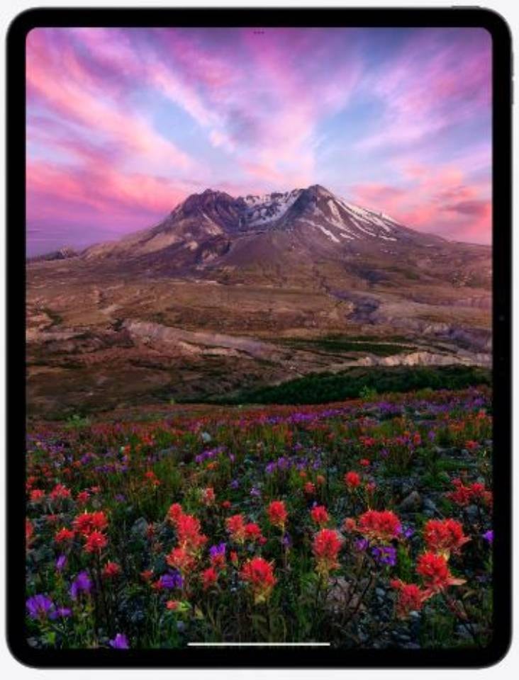 APPLE Tablette iPad Pro 13" M4 256Go Argent - IPADPRO13-MVXT3NF