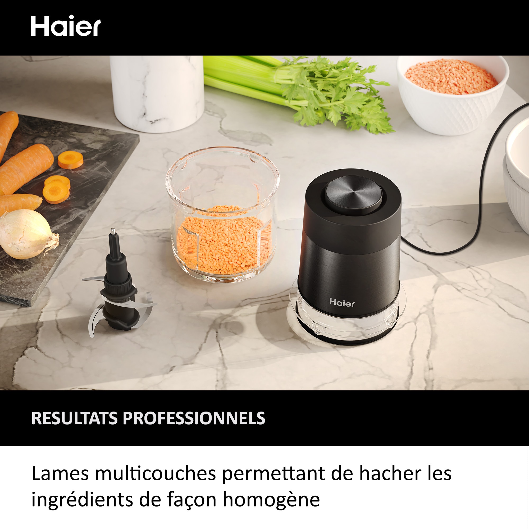 Hachoir HAIER 0.5L 550W - HCH5B1