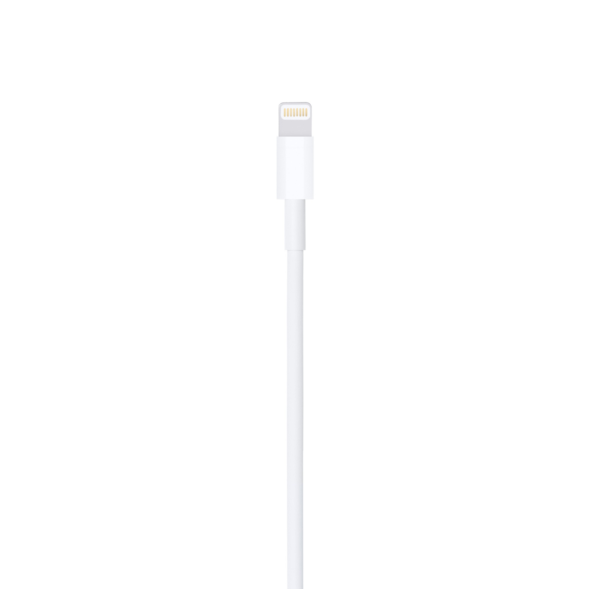 Câble USB APPLE  - MXLY2ZM/A