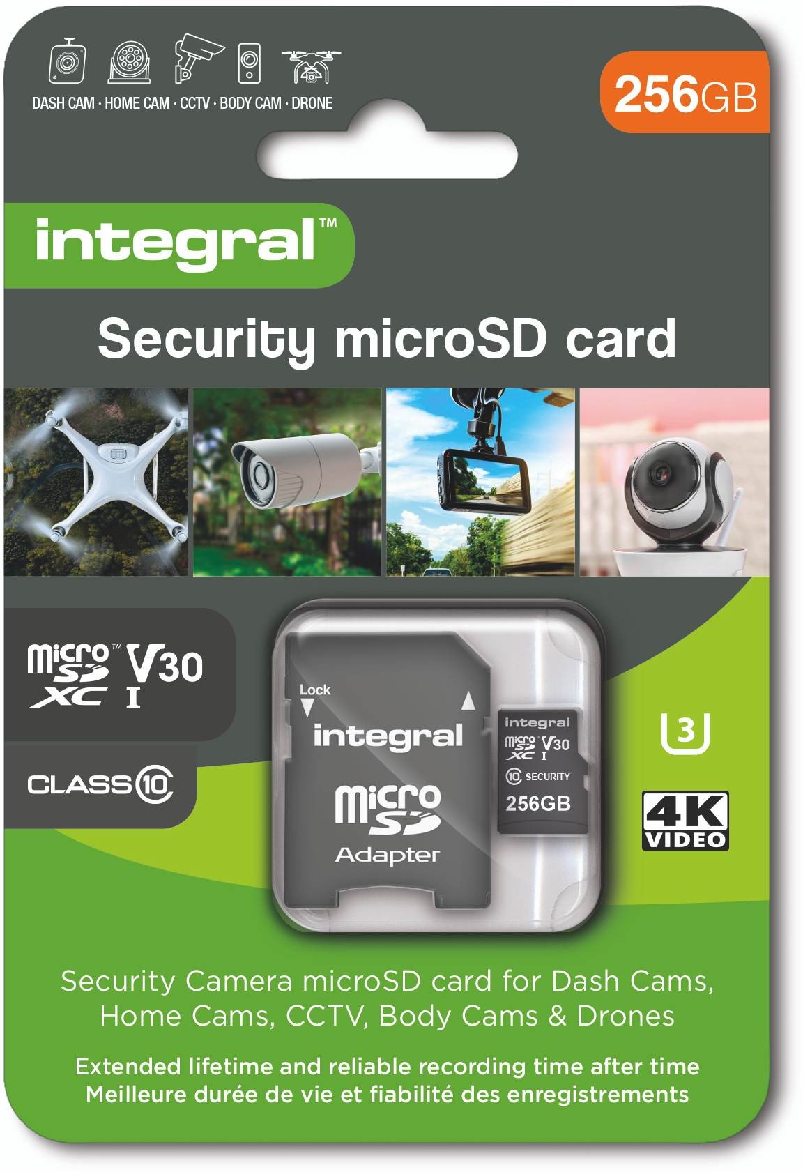 INTEGRAL Carte mémoire 256 Go  - INMSDX256G10-SEC